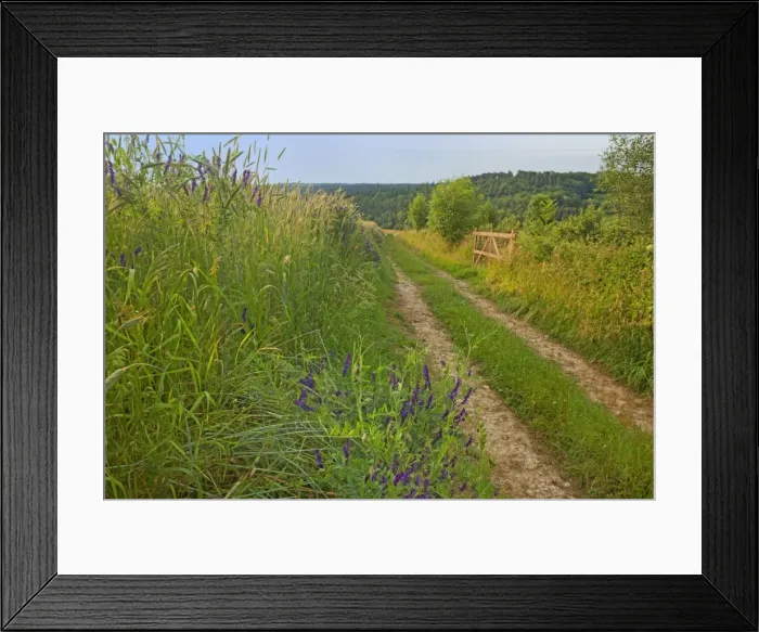 Framed Print : Picture No. 11050547 Framed Print : Picture No. 11050547