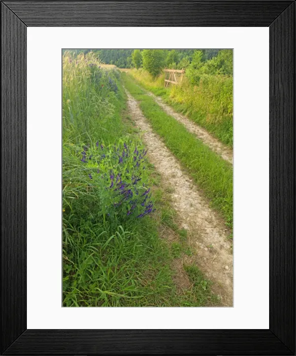 Framed Print : Picture No. 11050548 Framed Print : Picture No. 11050548