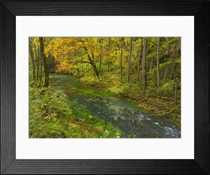 Framed Print : Picture No. 11050551 Framed Print : Picture No. 11050551