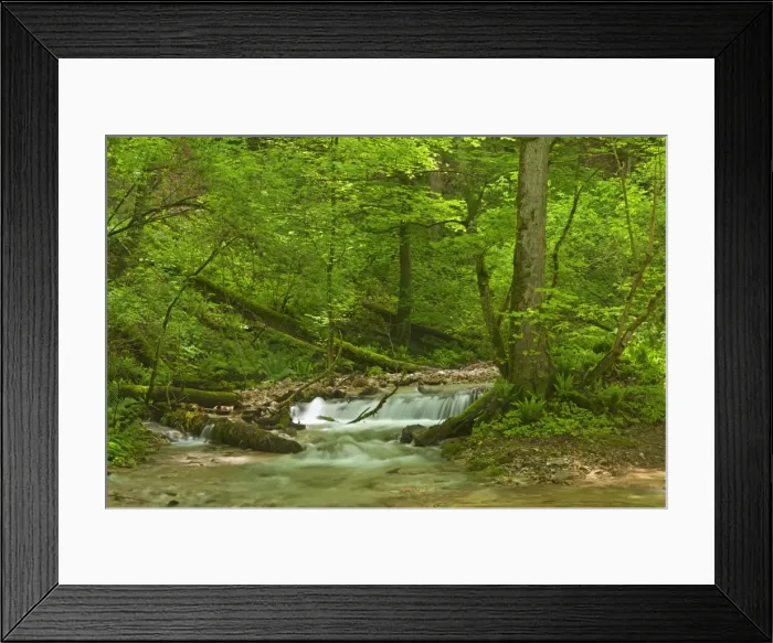 Framed Print : Picture No. 11050554 Framed Print : Picture No. 11050554