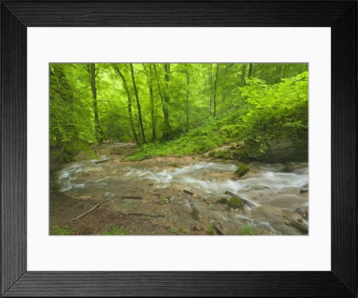 Framed Print : Picture No. 11050556 Framed Print : Picture No. 11050556