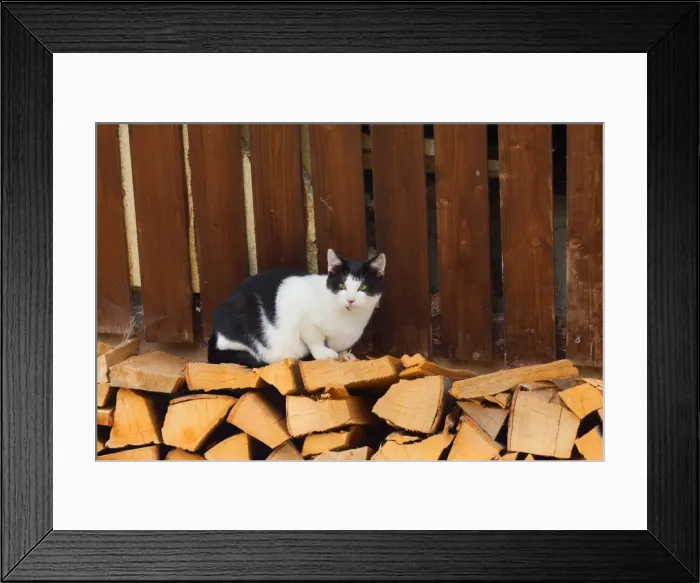 Framed Print : Picture No. 11050583 Framed Print : Picture No. 11050583