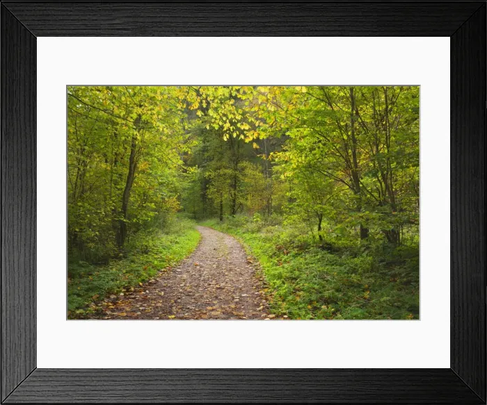 Framed Print : Picture No. 11050632
