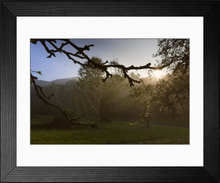Framed Print : Picture No. 11050633 Framed Print : Picture No. 11050633