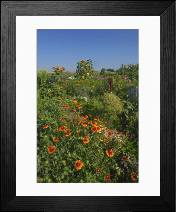 Framed Print : Picture No. 11050637 Framed Print : Picture No. 11050637