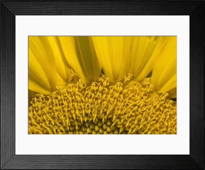 Framed Print : Picture No. 11050642 Framed Print : Picture No. 11050642