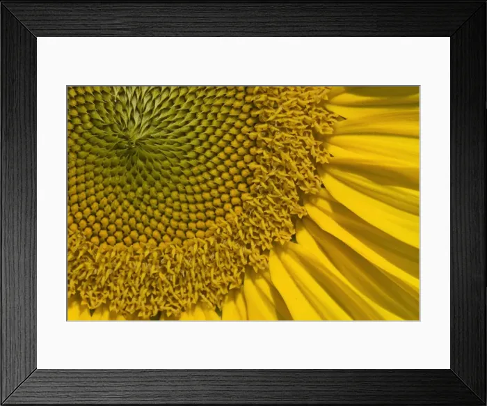 Framed Print : Picture No. 11050643 Framed Print : Picture No. 11050643