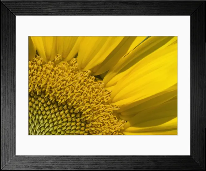 Framed Print : Picture No. 11050645 Framed Print : Picture No. 11050645