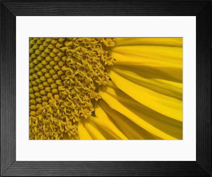 Framed Print : Picture No. 11050644 Framed Print : Picture No. 11050644