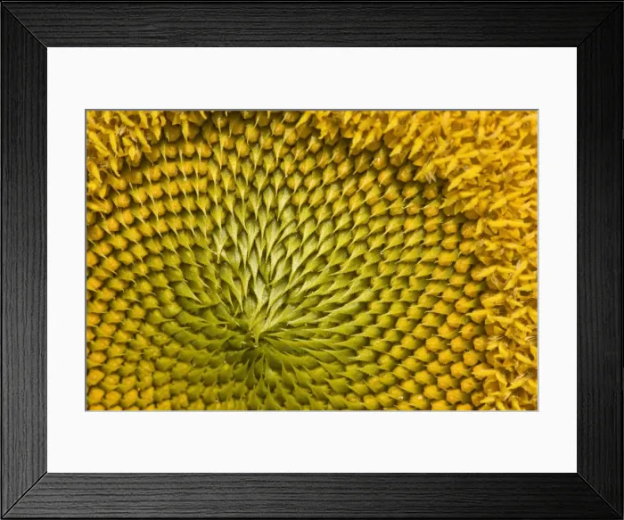 Framed Print : Picture No. 11050647 Framed Print : Picture No. 11050647