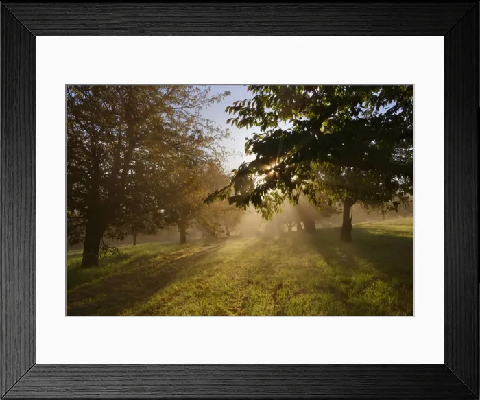 Framed Print : Picture No. 11050650 Framed Print : Picture No. 11050650