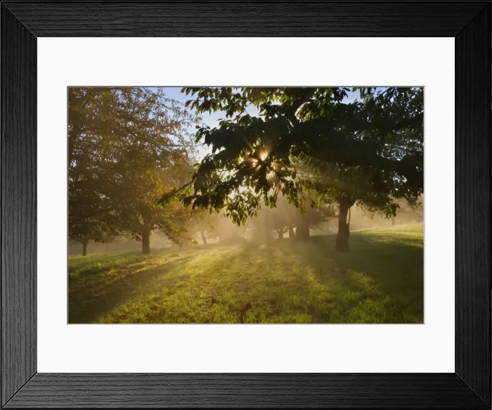 Framed Print : Picture No. 11050651 Framed Print : Picture No. 11050651