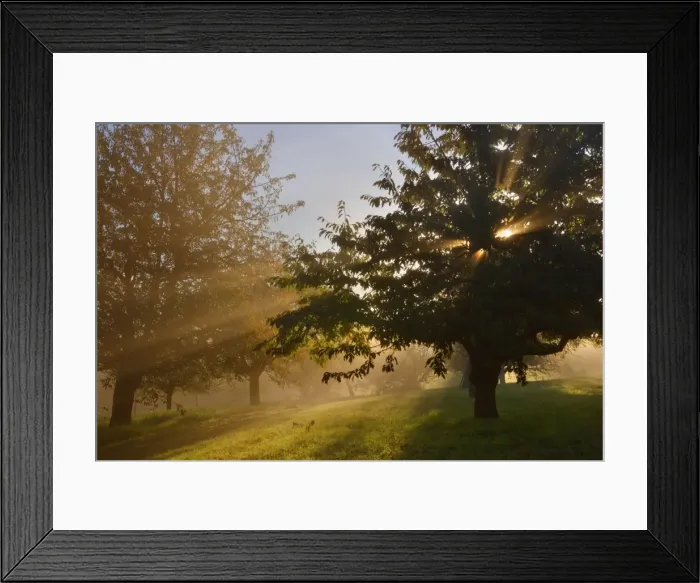 Framed Print : Picture No. 11050652 Framed Print : Picture No. 11050652