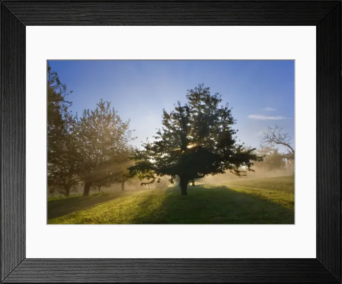 Framed Print : Picture No. 11050653 Framed Print : Picture No. 11050653