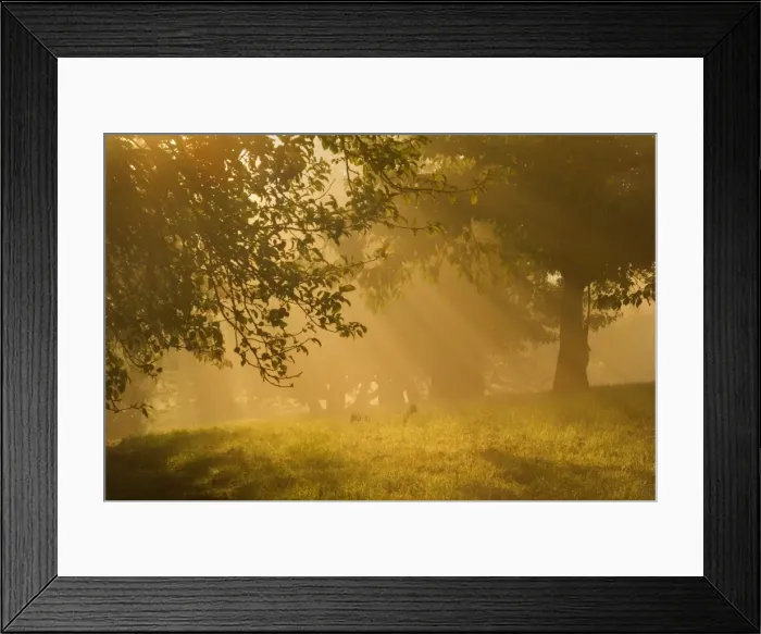 Framed Print : Picture No. 11050654 Framed Print : Picture No. 11050654
