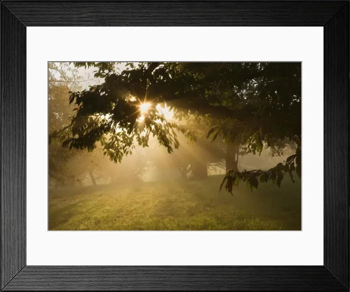 Framed Print : Picture No. 11050655 Framed Print : Picture No. 11050655