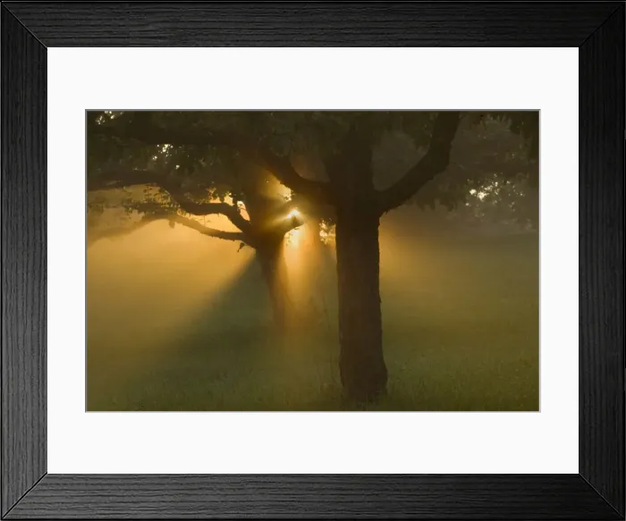 Framed Print : Picture No. 11050656 Framed Print : Picture No. 11050656
