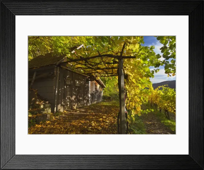 Framed Print : Picture No. 11050662 Framed Print : Picture No. 11050662