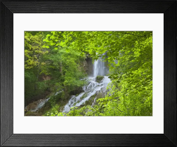 Framed Print : Picture No. 11050673 Framed Print : Picture No. 11050673