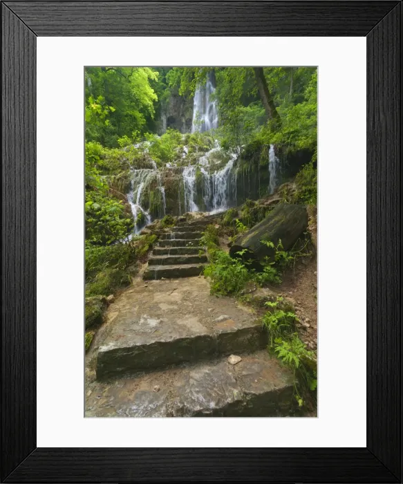 Framed Print : Picture No. 11050674 Framed Print : Picture No. 11050674