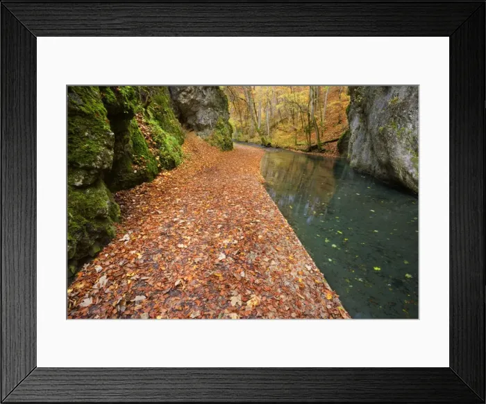Framed Print : Picture No. 11050683 Framed Print : Picture No. 11050683
