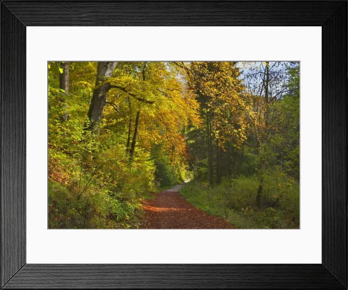 Framed Print : Picture No. 11050684 Framed Print : Picture No. 11050684