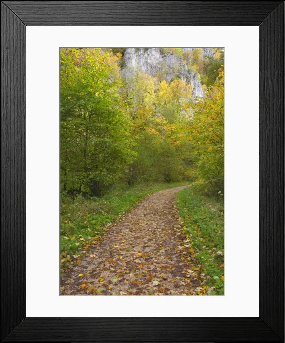 Framed Print : Picture No. 11050685 Framed Print : Picture No. 11050685