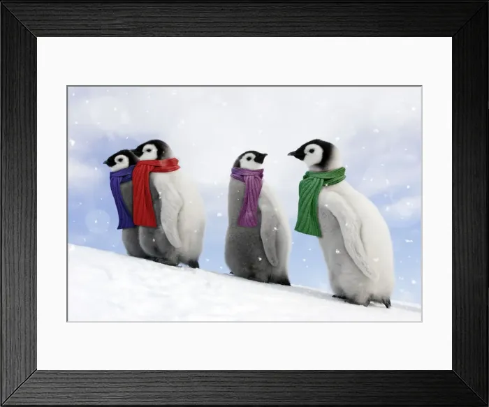 Framed Print : Picture No. 11049985 Framed Print : Picture No. 11049985