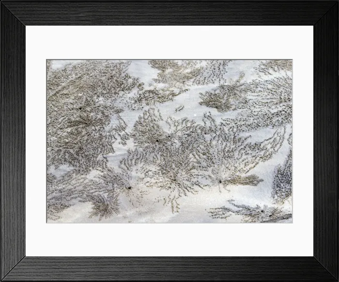 Framed Print : Picture No. 11050686 Framed Print : Picture No. 11050686