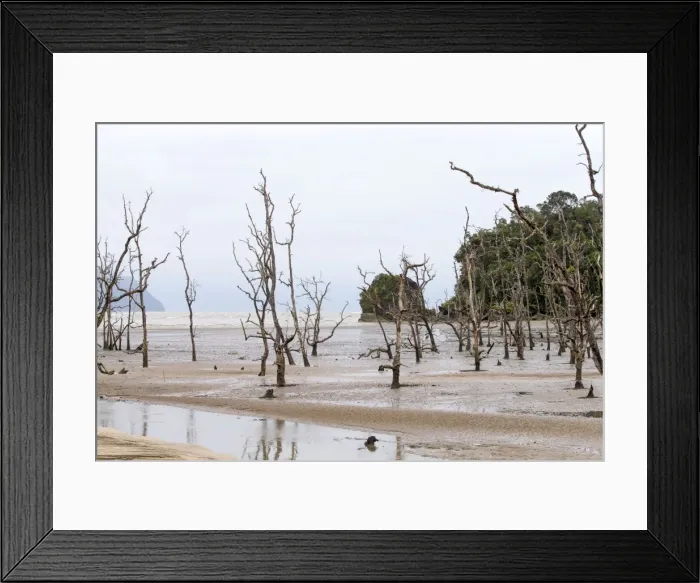 Framed Print : Picture No. 11049897 Framed Print : Picture No. 11049897