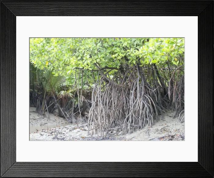 Framed Print : Picture No. 11049916 Framed Print : Picture No. 11049916