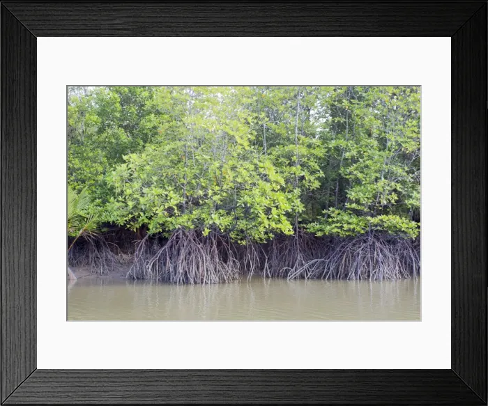 Framed Print : Picture No. 11049917 Framed Print : Picture No. 11049917