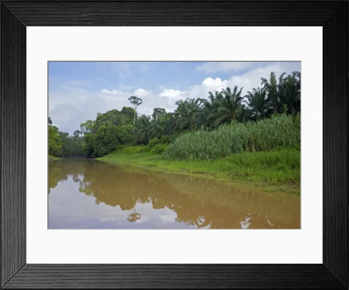 Framed Print : Picture No. 11049920 Framed Print : Picture No. 11049920