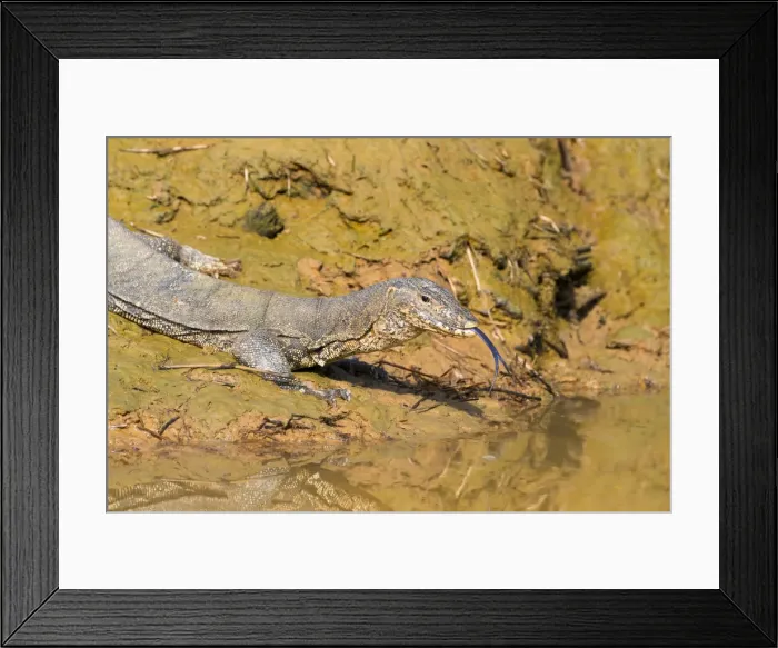 Framed Print : Picture No. 11049940 Framed Print : Picture No. 11049940