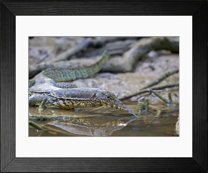 Framed Print : Picture No. 11049941 Framed Print : Picture No. 11049941