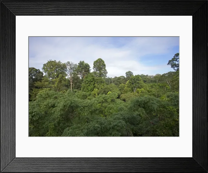 Framed Print : Picture No. 11049950 Framed Print : Picture No. 11049950