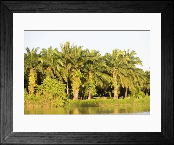 Framed Print : Picture No. 11050717 Framed Print : Picture No. 11050717