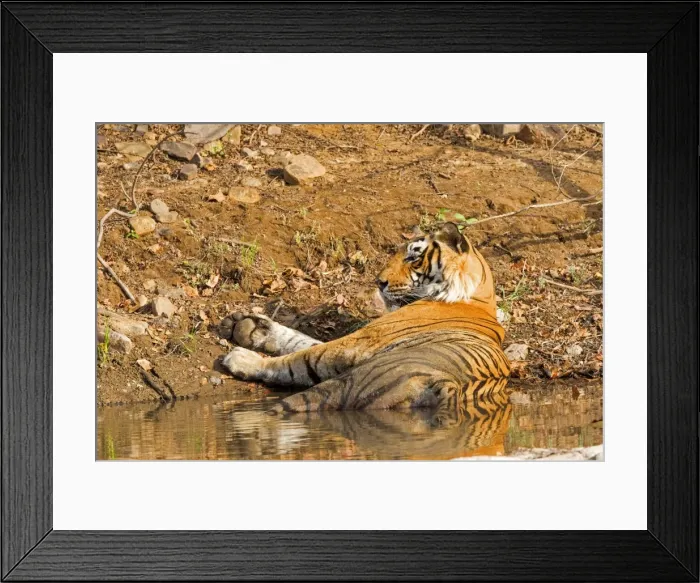 Framed Print : Picture No. 11050735 Framed Print : Picture No. 11050735