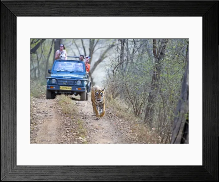 Framed Print : Picture No. 11050759 Framed Print : Picture No. 11050759