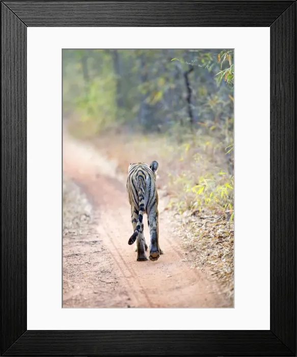 Framed Print : Picture No. 11050768 Framed Print : Picture No. 11050768