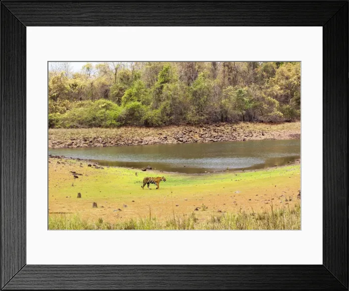 Framed Print : Picture No. 11050769 Framed Print : Picture No. 11050769