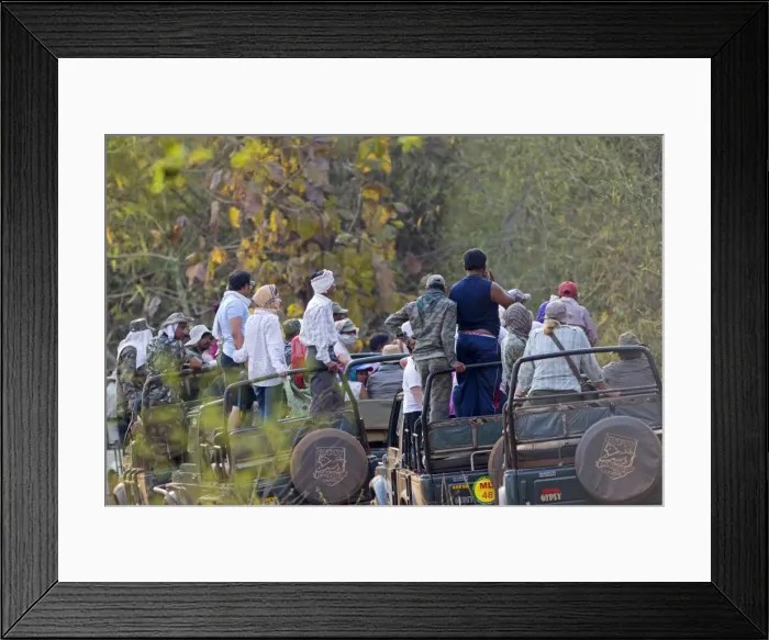 Framed Print : Picture No. 11050776