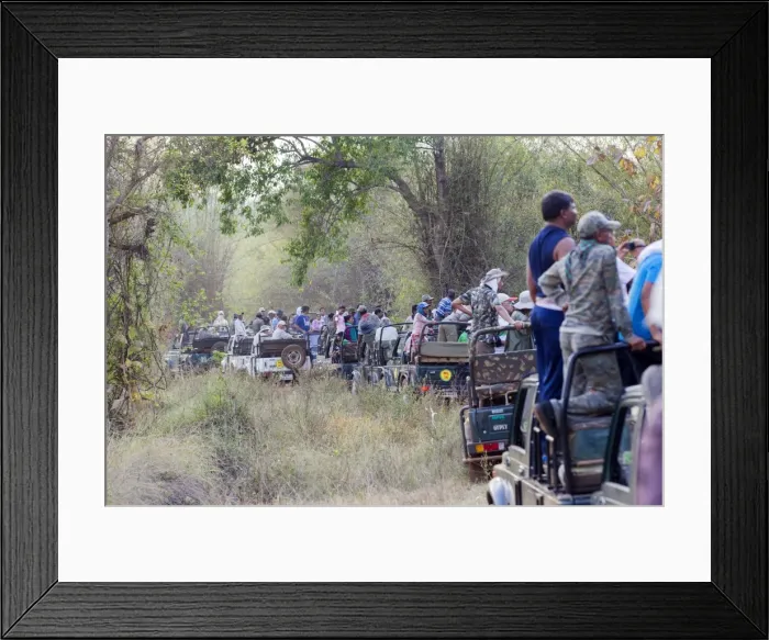 Framed Print : Picture No. 11050777 Framed Print : Picture No. 11050777