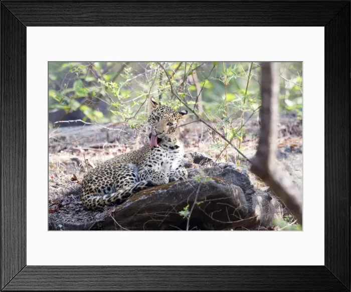 Framed Print : Picture No. 11050782 Framed Print : Picture No. 11050782