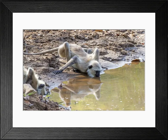 Framed Print : Picture No. 11050795 Framed Print : Picture No. 11050795