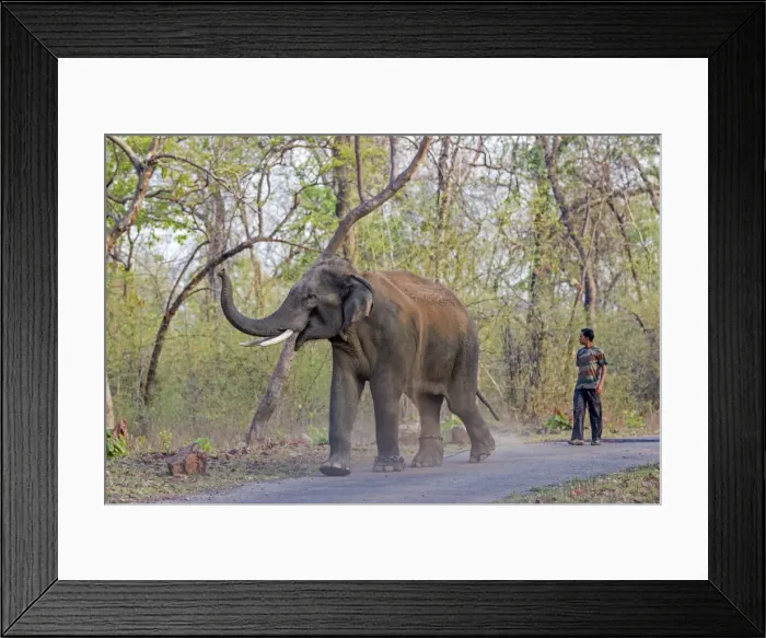 Framed Print : Picture No. 11050804 Framed Print : Picture No. 11050804
