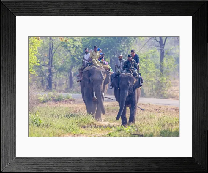 Framed Print : Picture No. 11050805 Framed Print : Picture No. 11050805