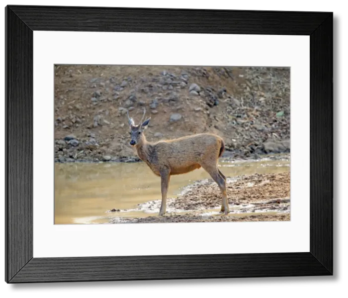 Framed Print : Picture No. 11050814 Framed Print : Picture No. 11050814