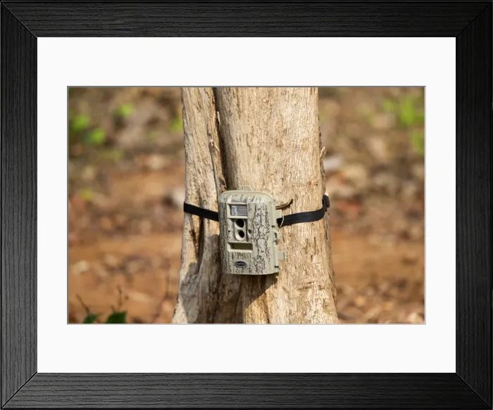 Framed Print : Picture No. 11050822 Framed Print : Picture No. 11050822