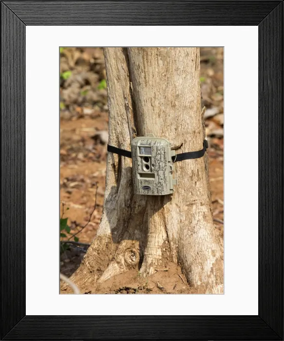 Framed Print : Picture No. 11050823 Framed Print : Picture No. 11050823